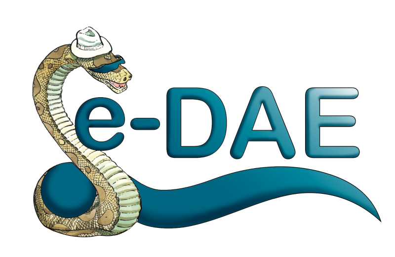 logo e-dae