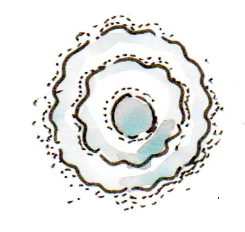 atome en forme d'onde